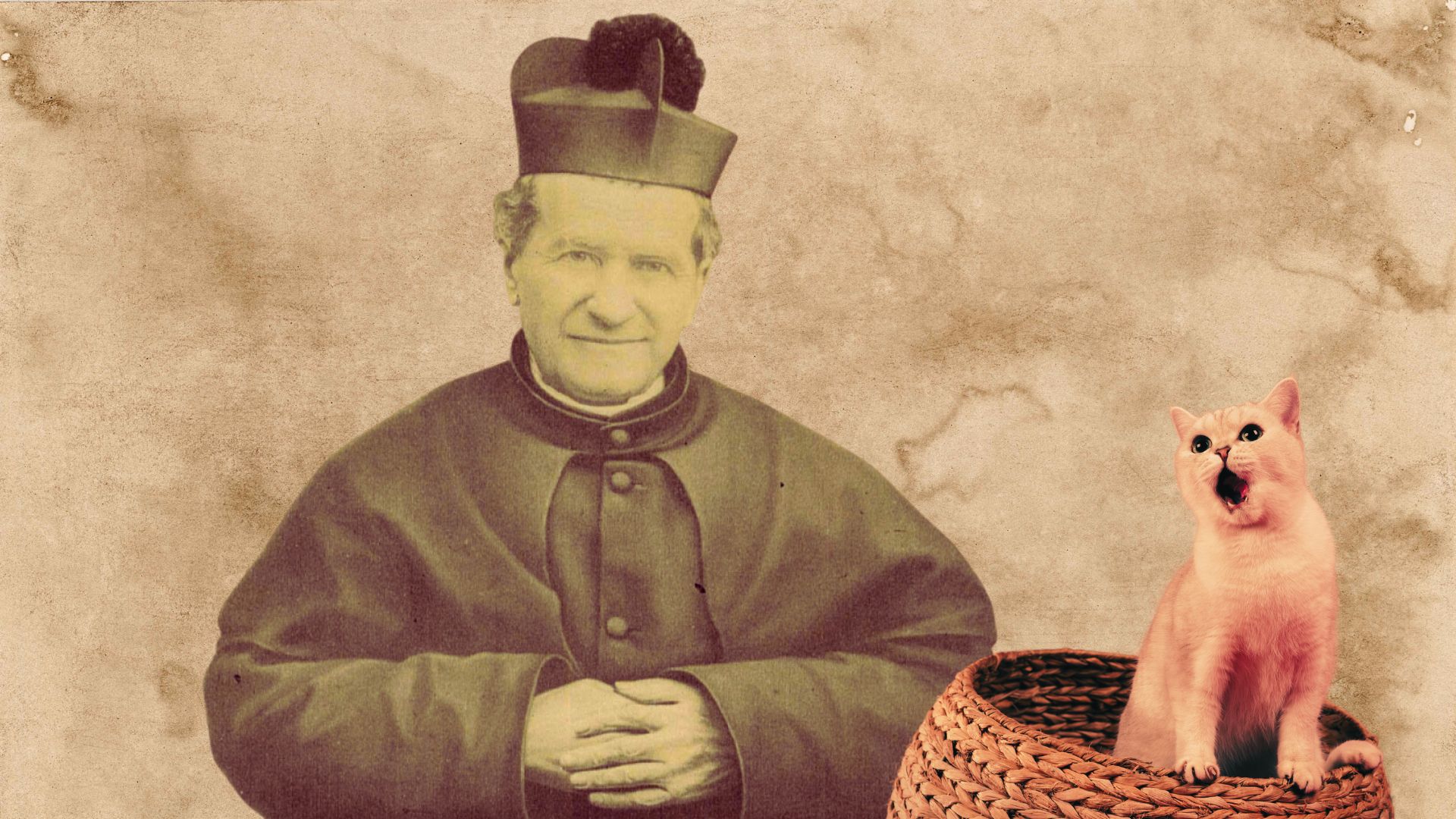 La bilocazione, don Bosco e un gatto…